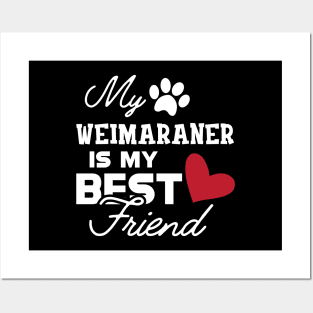 Weimaraner Dog - My weimaraner is my best friend Posters and Art